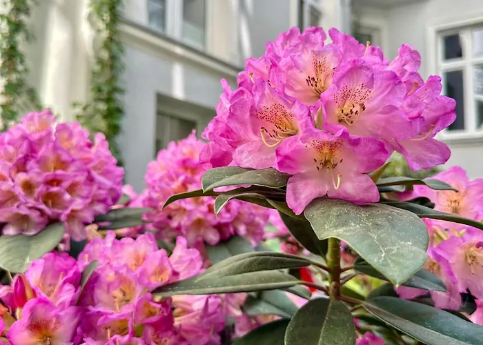 Lejlighed Studio 14 By Hidden Garden